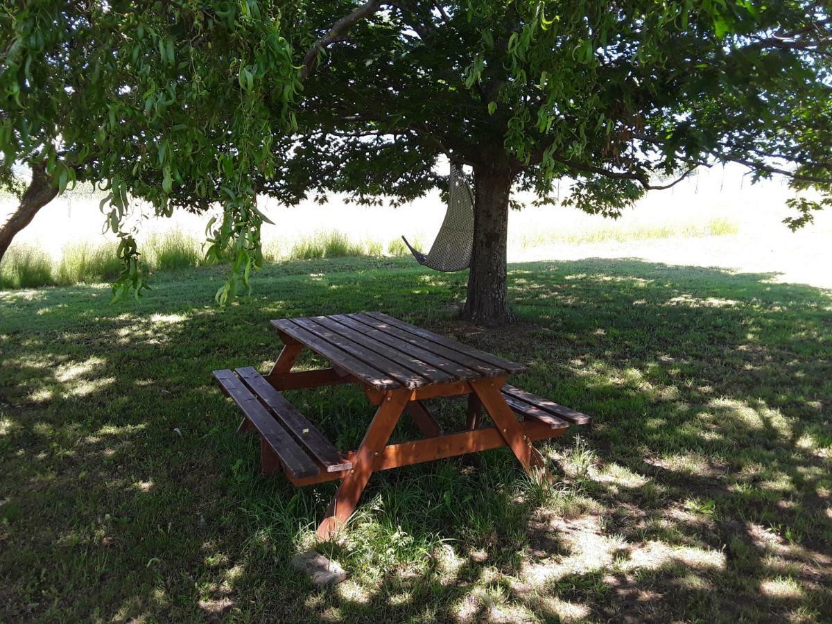 Bed and Breakfast Gitenchassagne Thurins Экстерьер фото