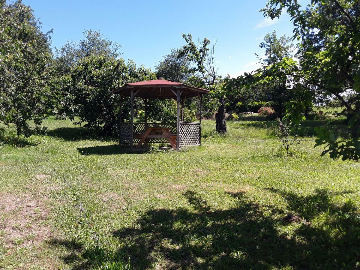 Bed and Breakfast Gitenchassagne Thurins Экстерьер фото